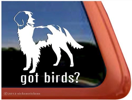 Imate ptice? ~ Crveno -bijeli irski setter vinil prozor automatska naljepnica naljepnica