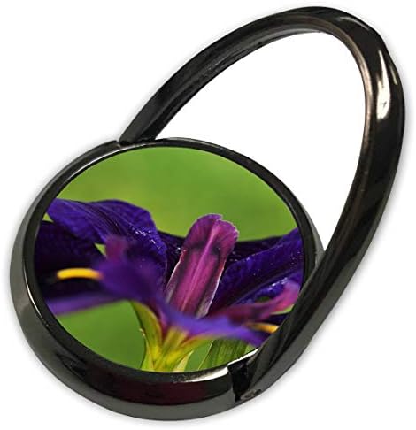 3Drose Stamp City - Cvijeće - Makro fotografija u uglu cvijeta ljubičastog irisa. - Telefon