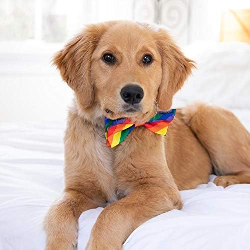 Huxley & Kent Bow kravata za kućne ljubimce | Jednakost | Pride Velcro pričvršćivanje kravata za kravatu | Zabavne kravate