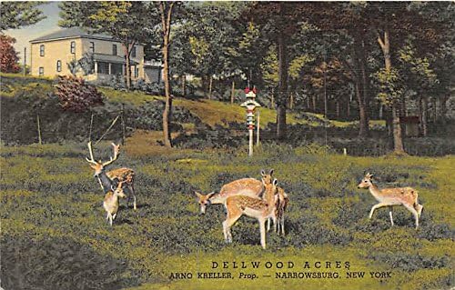 Dellwood Acres, Arno Kreller, Proprowsburg, New York, razglednica